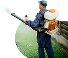 Termite Control Man