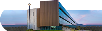 Termites control sydney
