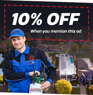 10% off when you mention this ad