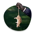 Long term services icon