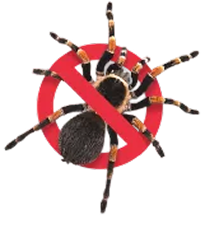 Spider Badge