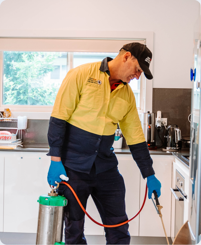 BugFree technician treating a kitchen