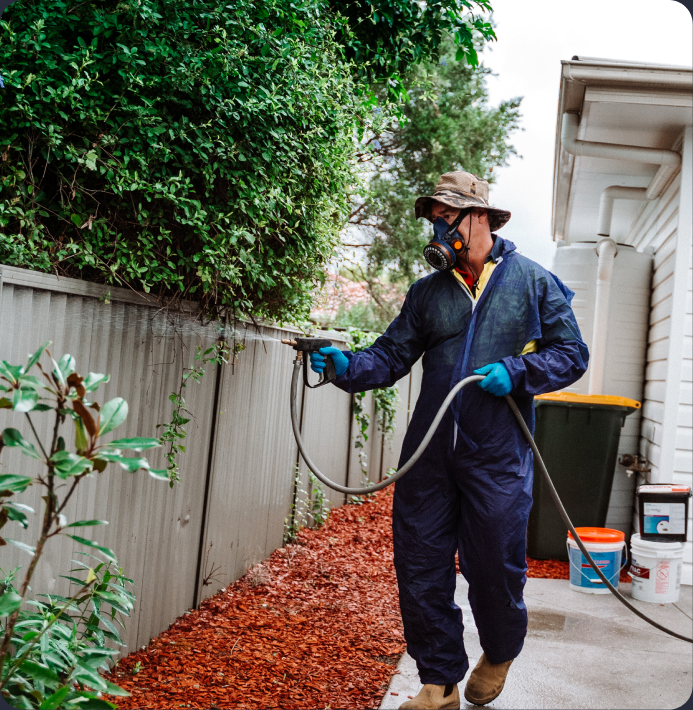 BugFree technician inspecting a property