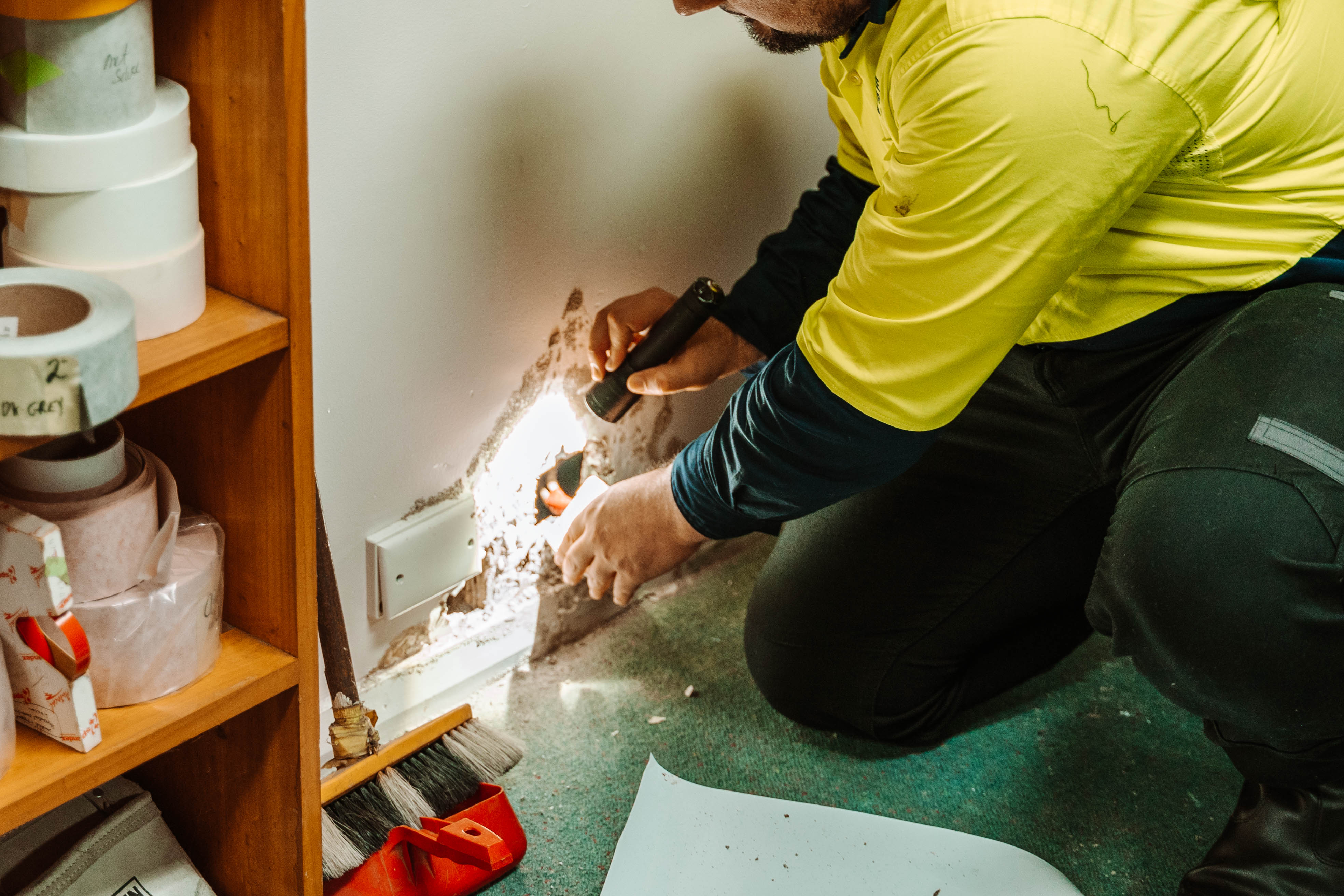 Termite-damaged timber