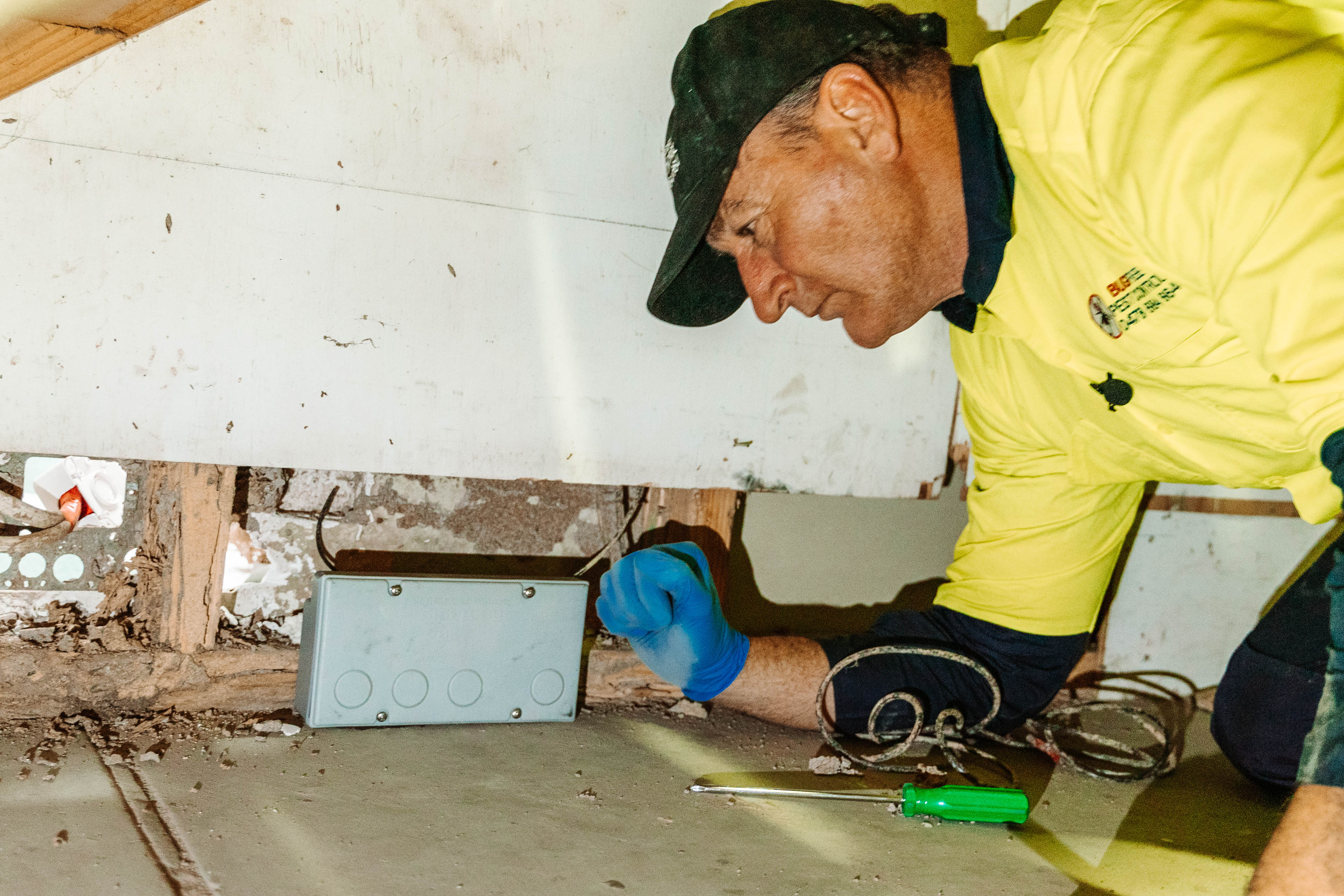 Termite-damaged timber