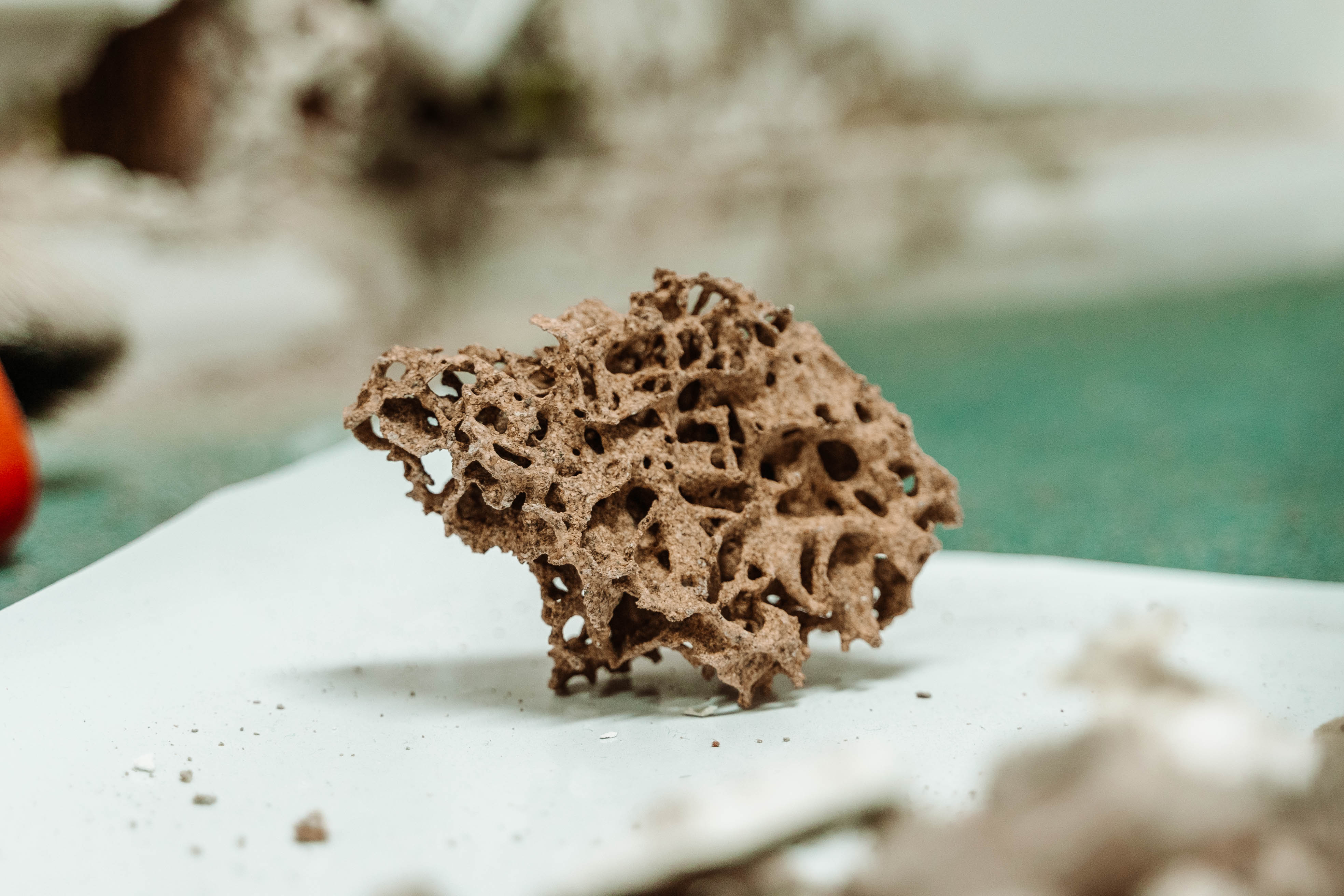 Termite-damaged timber