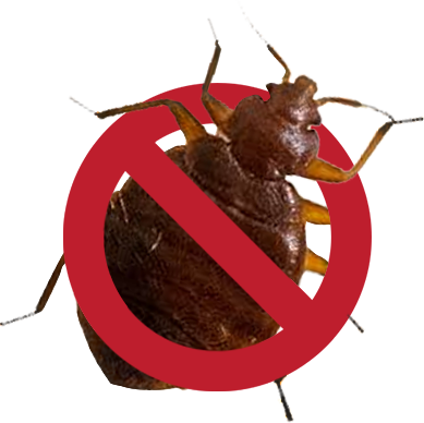 No-bedbugs
