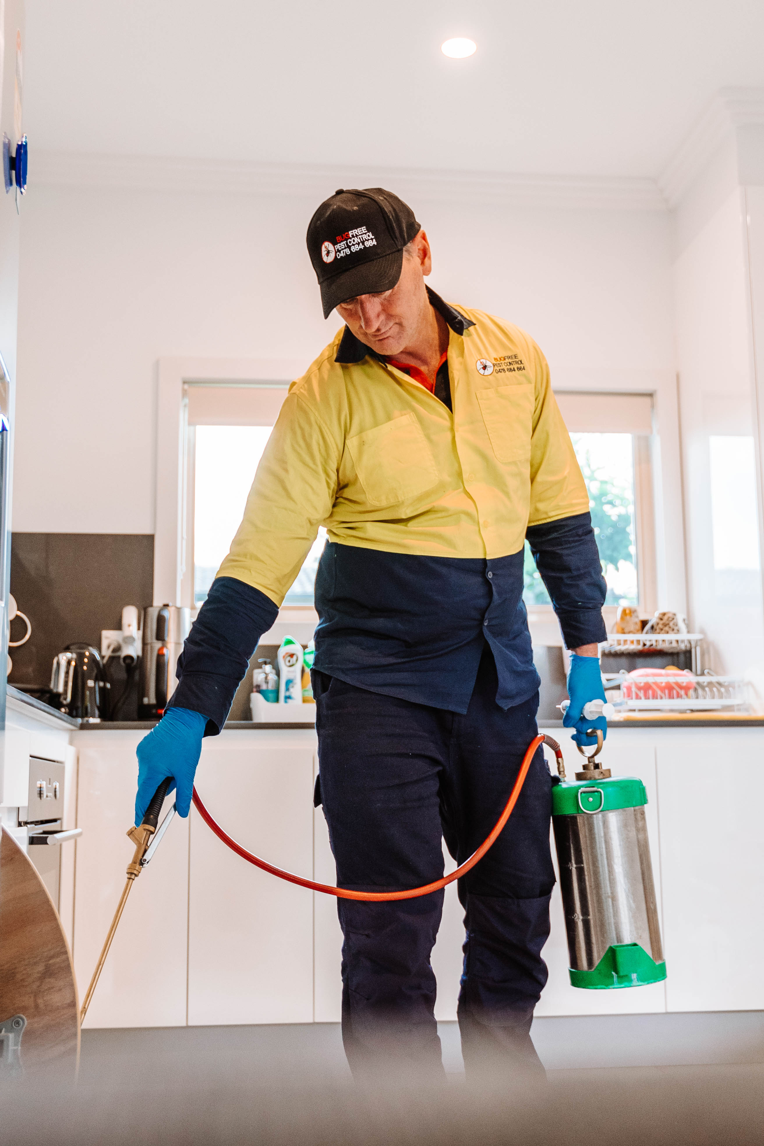 cockroach pest control sydney