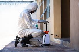 Treatment Options for Subterranean Termites