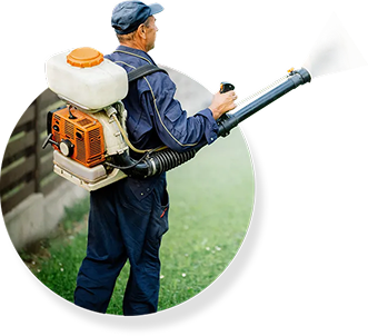 Pest Control Importance
